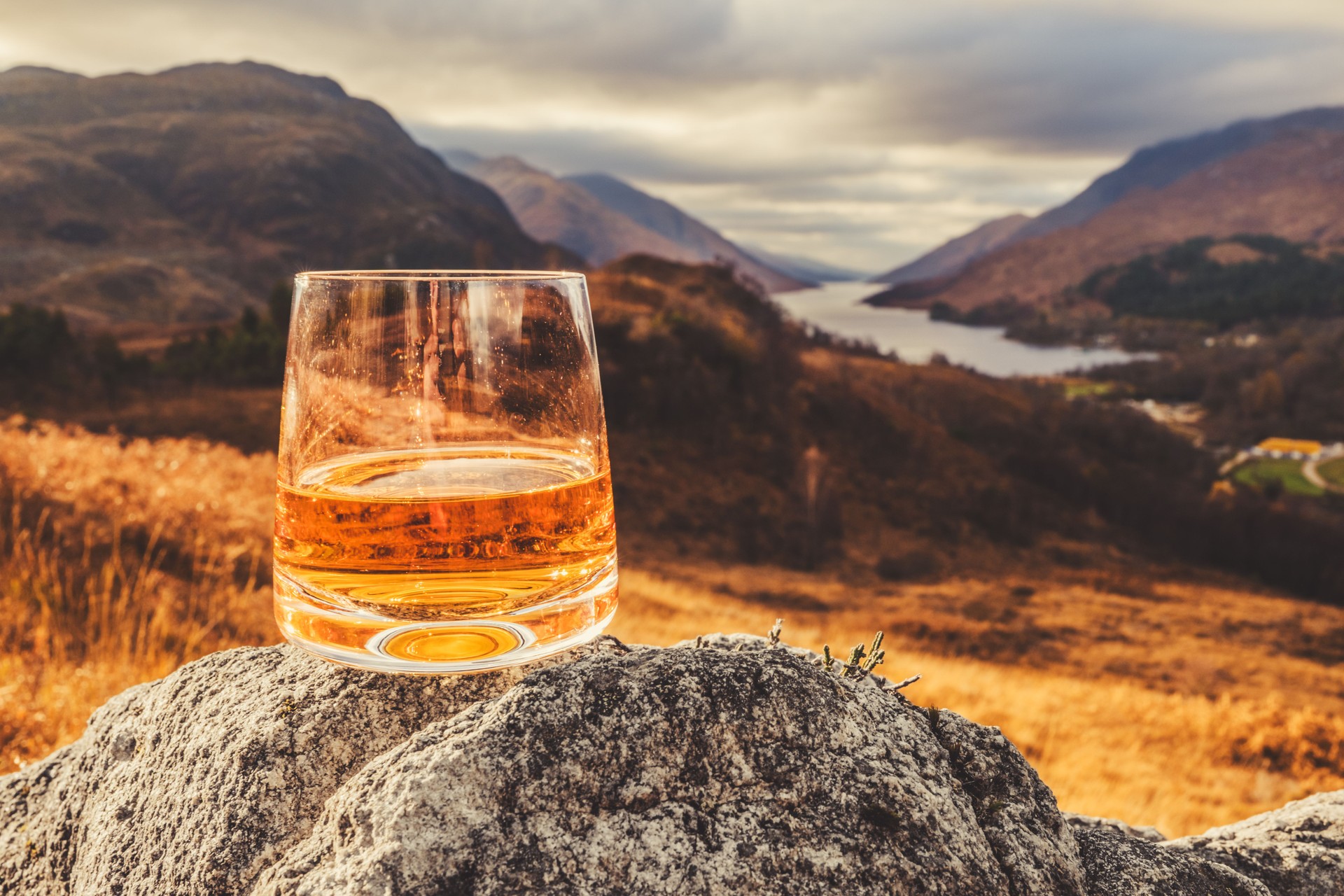 Scotch whisky, enjoyed by passengers on a Invergordon shore excursion